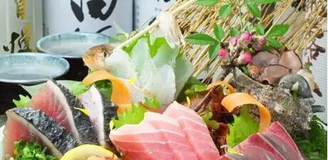 以梦为马,不负韶华—大学毕业生赴日本工作的真实感受