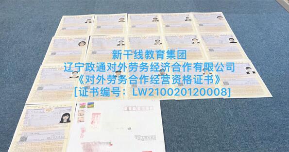 日本工作签证哪一个最适合你?有什么优势?
