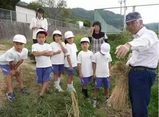 日本究竟发达到什么程度?为什么那么多人想要一去再去