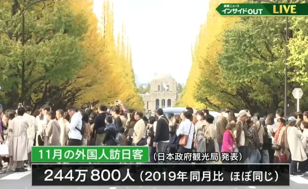 赴日工作