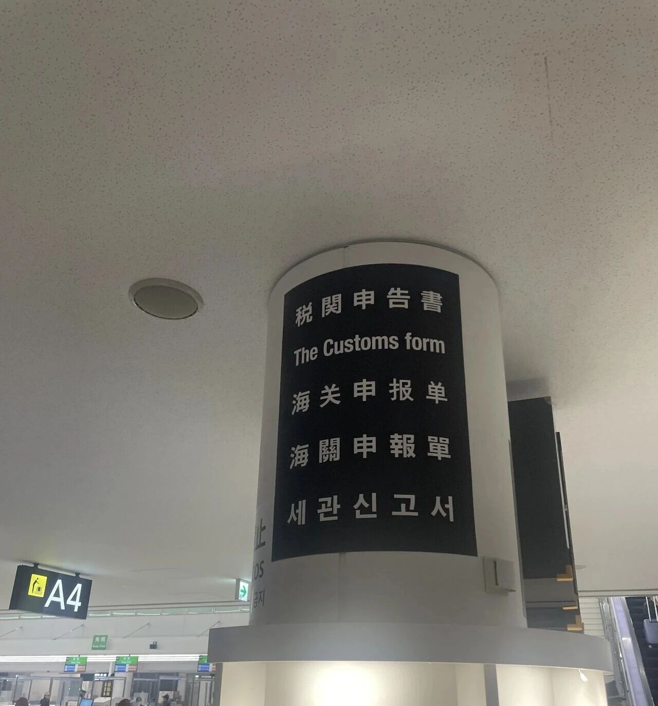 ������ͨ����